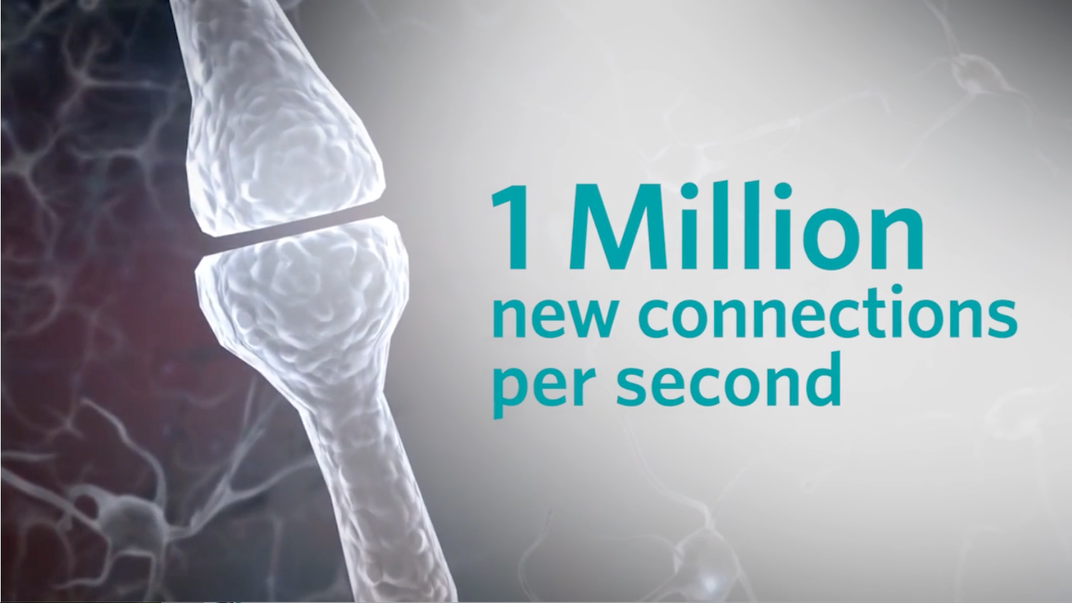 Early Learning & Brain Development